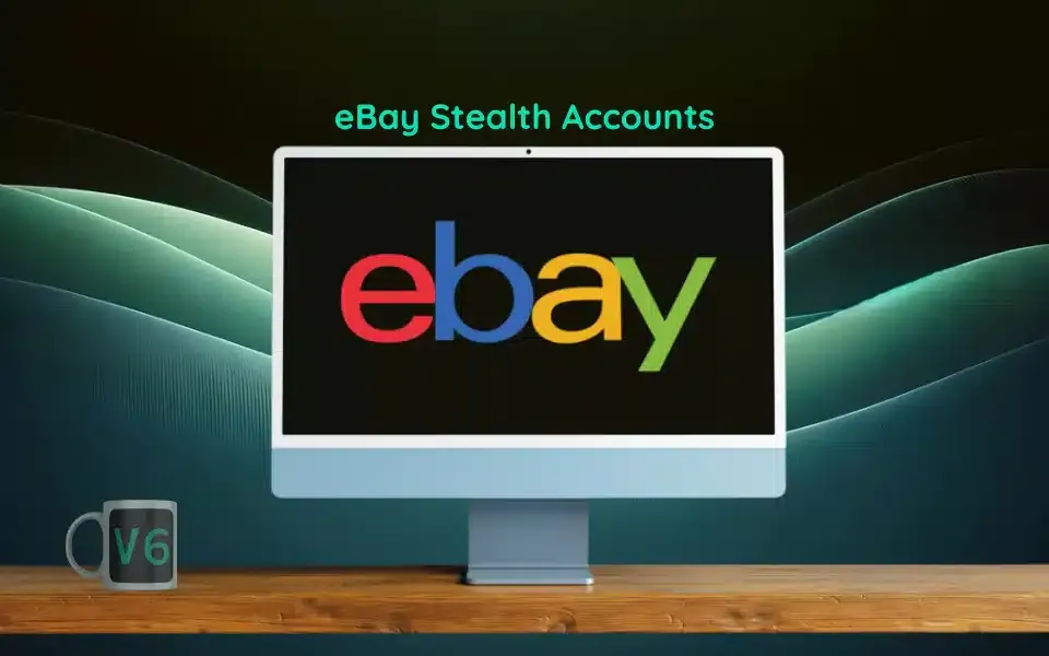 eBay隱形帳戶概述